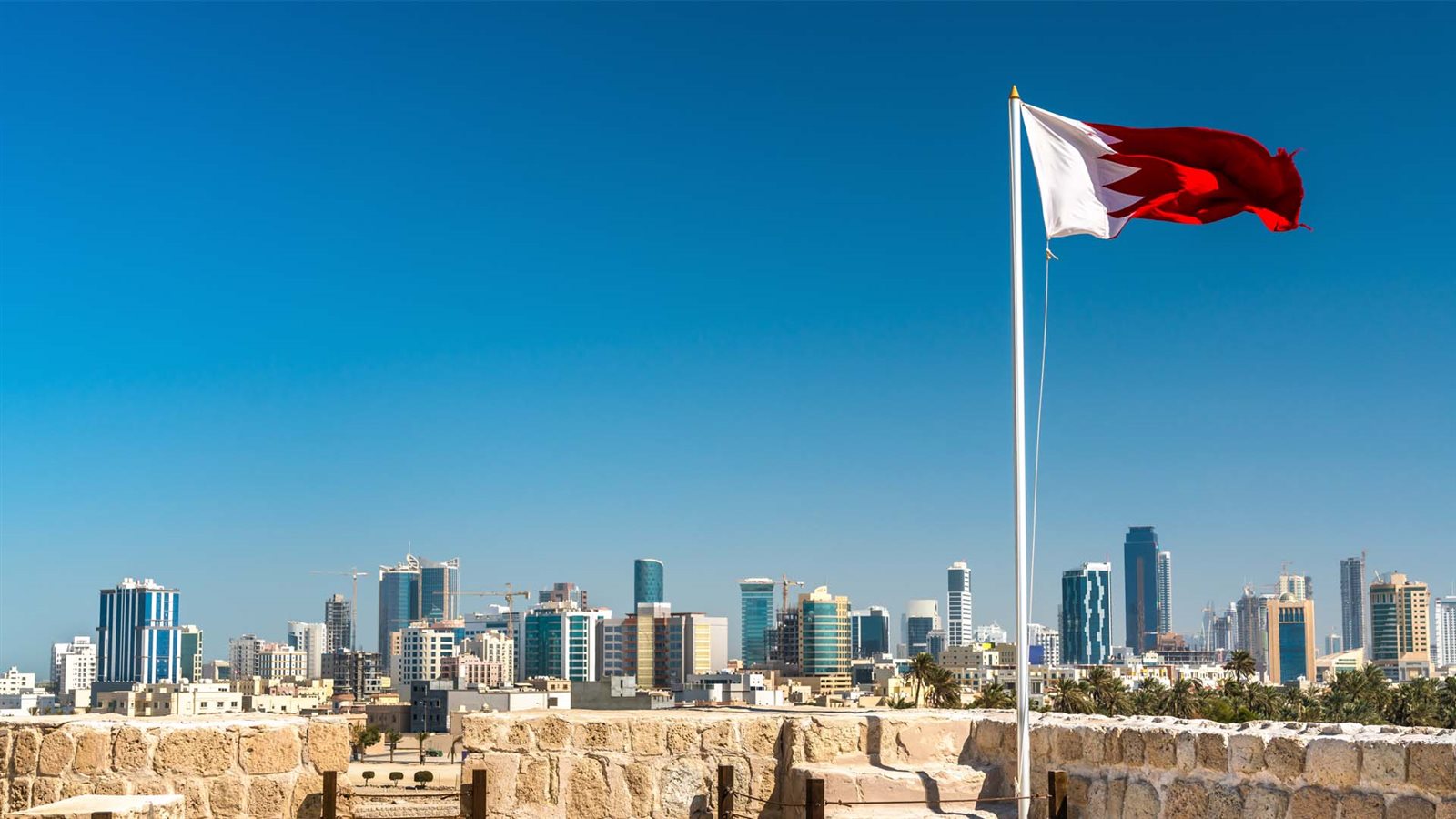 أرشيفية