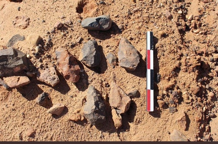 جانب من الاكتشافات  جانب من الاكتشافات