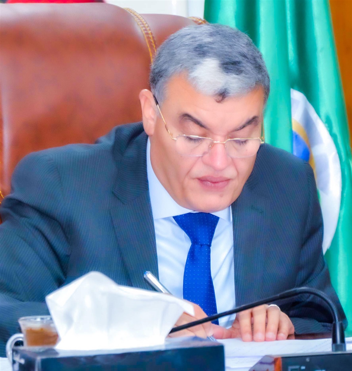 محافظ المنيا
