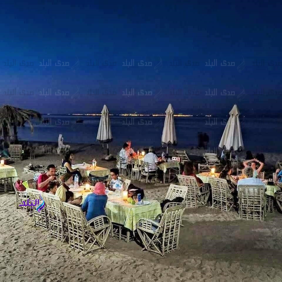 حركة السياحة