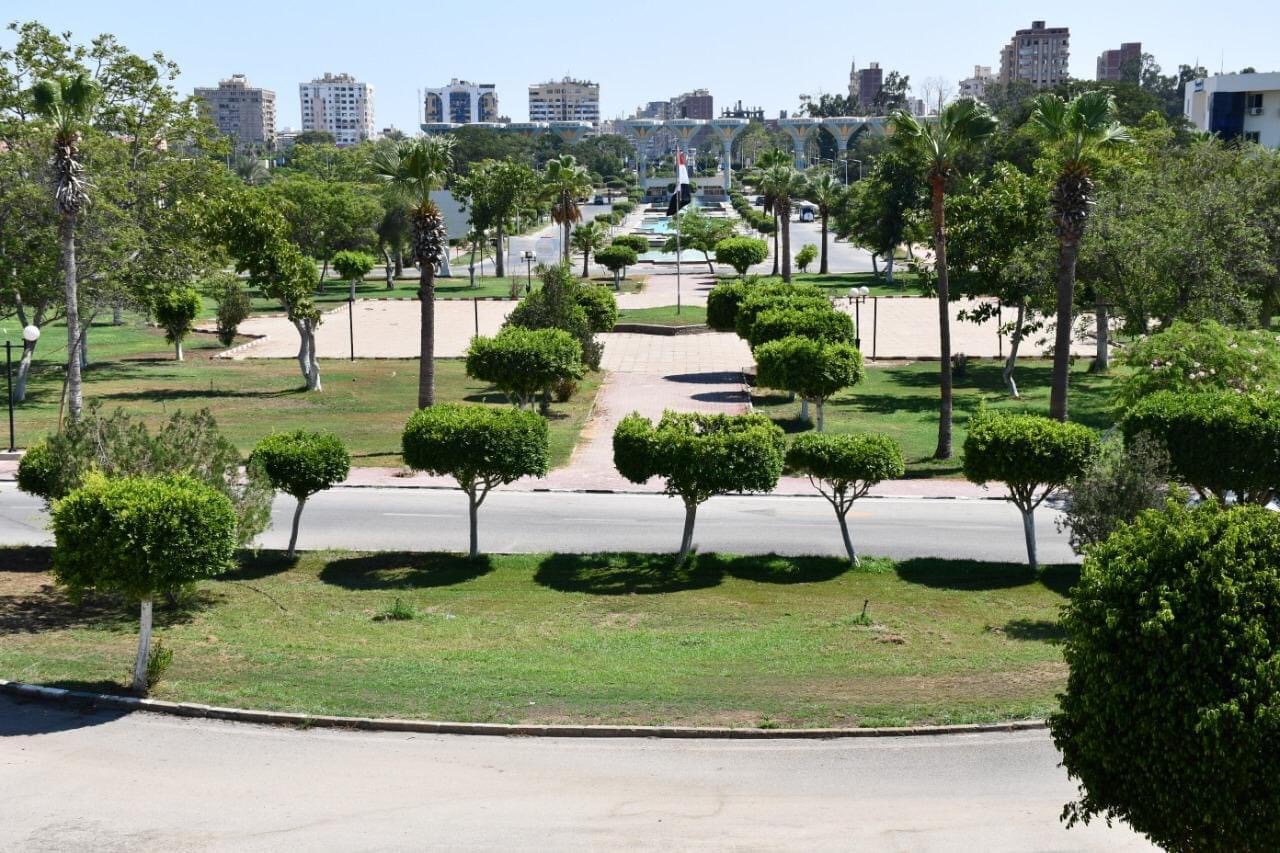 جامعة القناة 