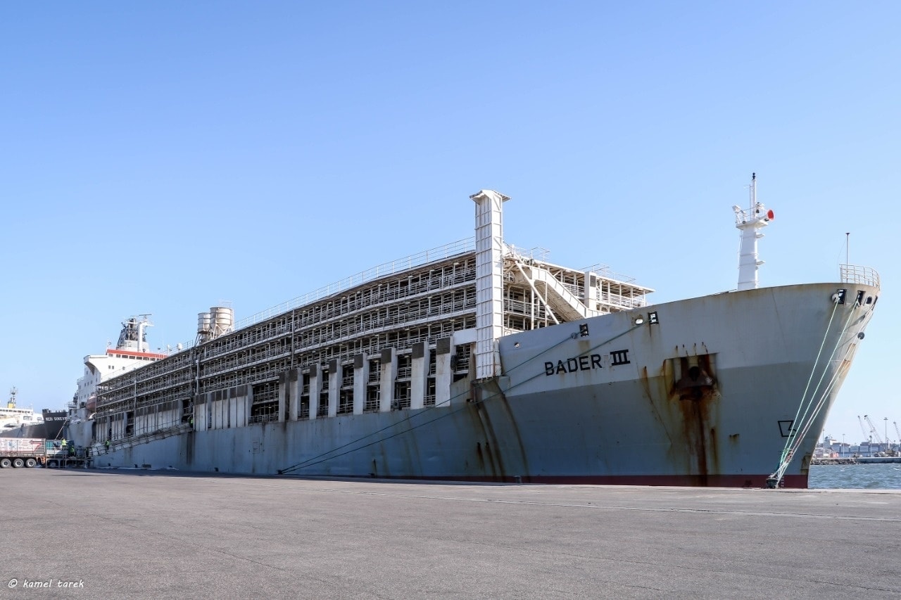 ميناء دمياط