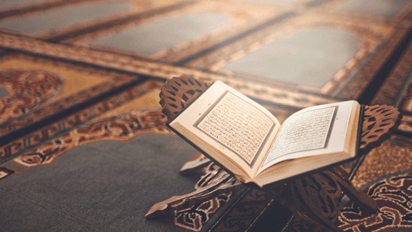 كتابة جميع الممتلكات للزوجة 