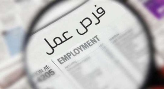وظائف في الضرائب