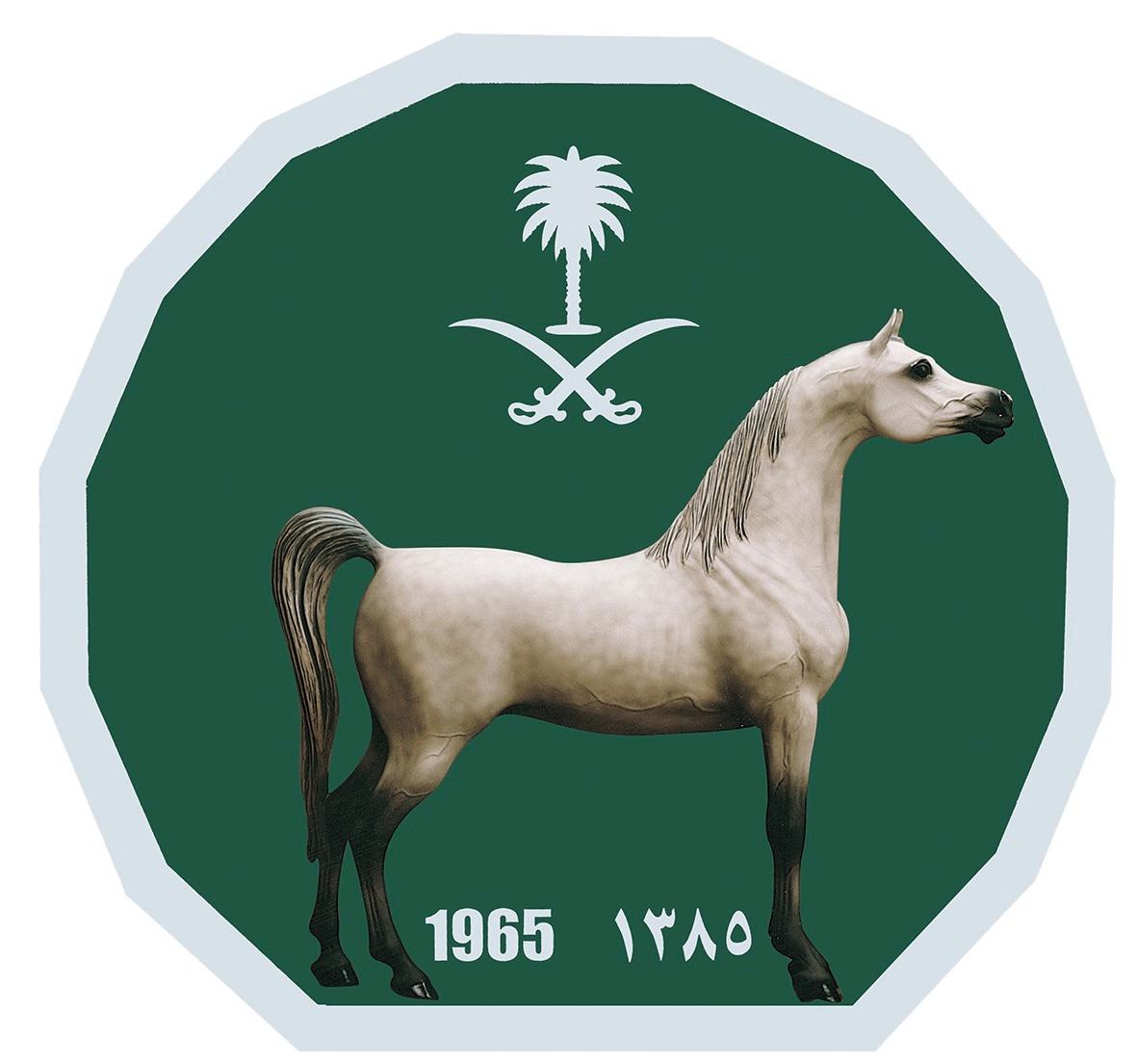 كأس السعودية