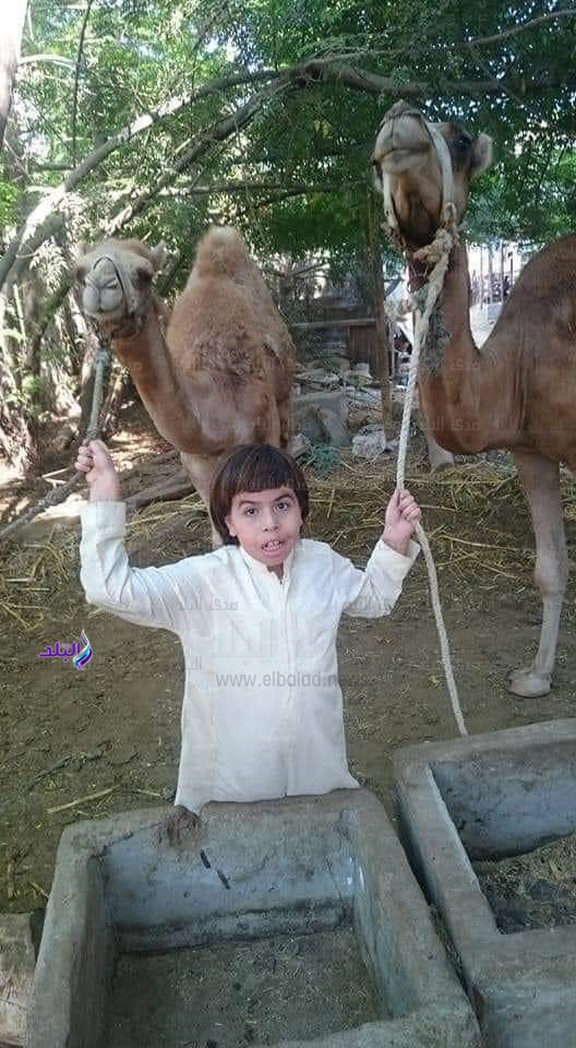 الطفل 