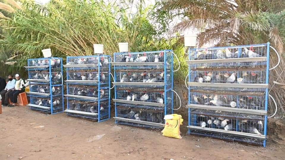 محافظ كفر الشيخ : تحصين 47030 طائراً من الأمراض الوبائية 
