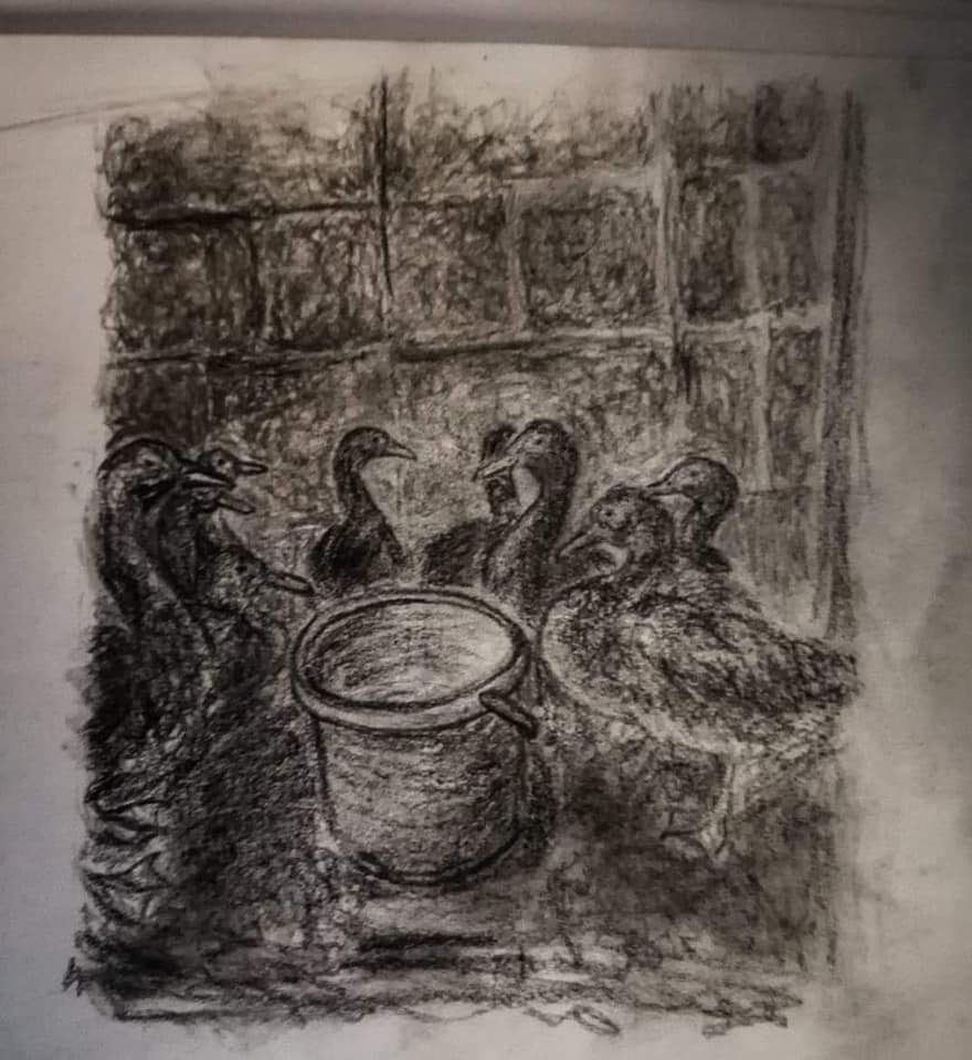 جانب من الرسومات  جانب من الرسومات