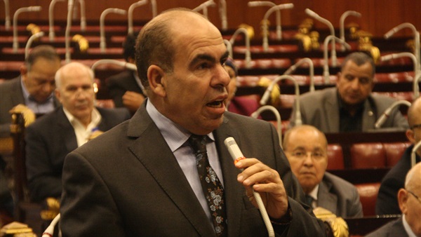 الدكتور ياسر الهضيبي