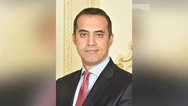 المستشار محمود فوزي، الأمين  العام لمجلس النواب