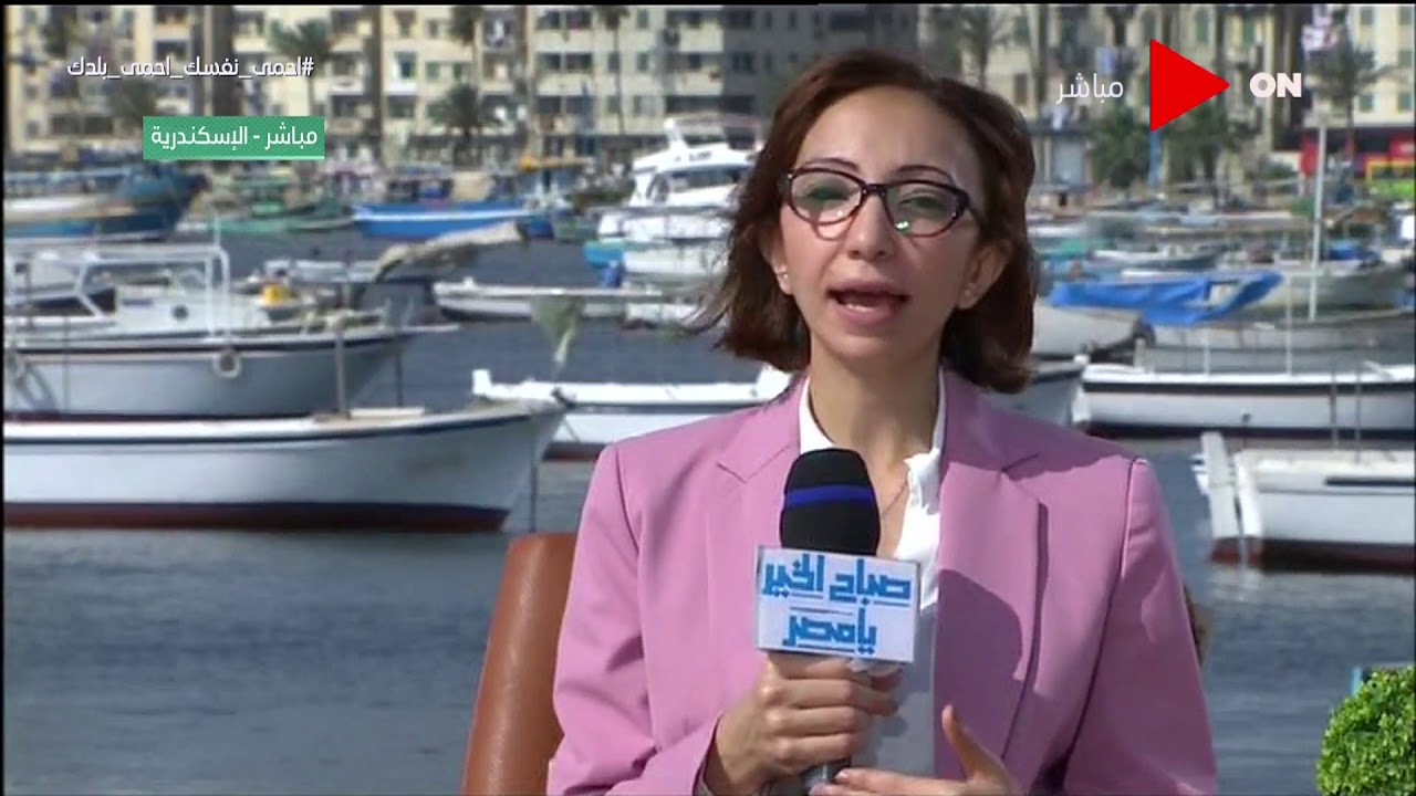 الدكتور جاكلين عازر، نائب محافظ الاسكندرية