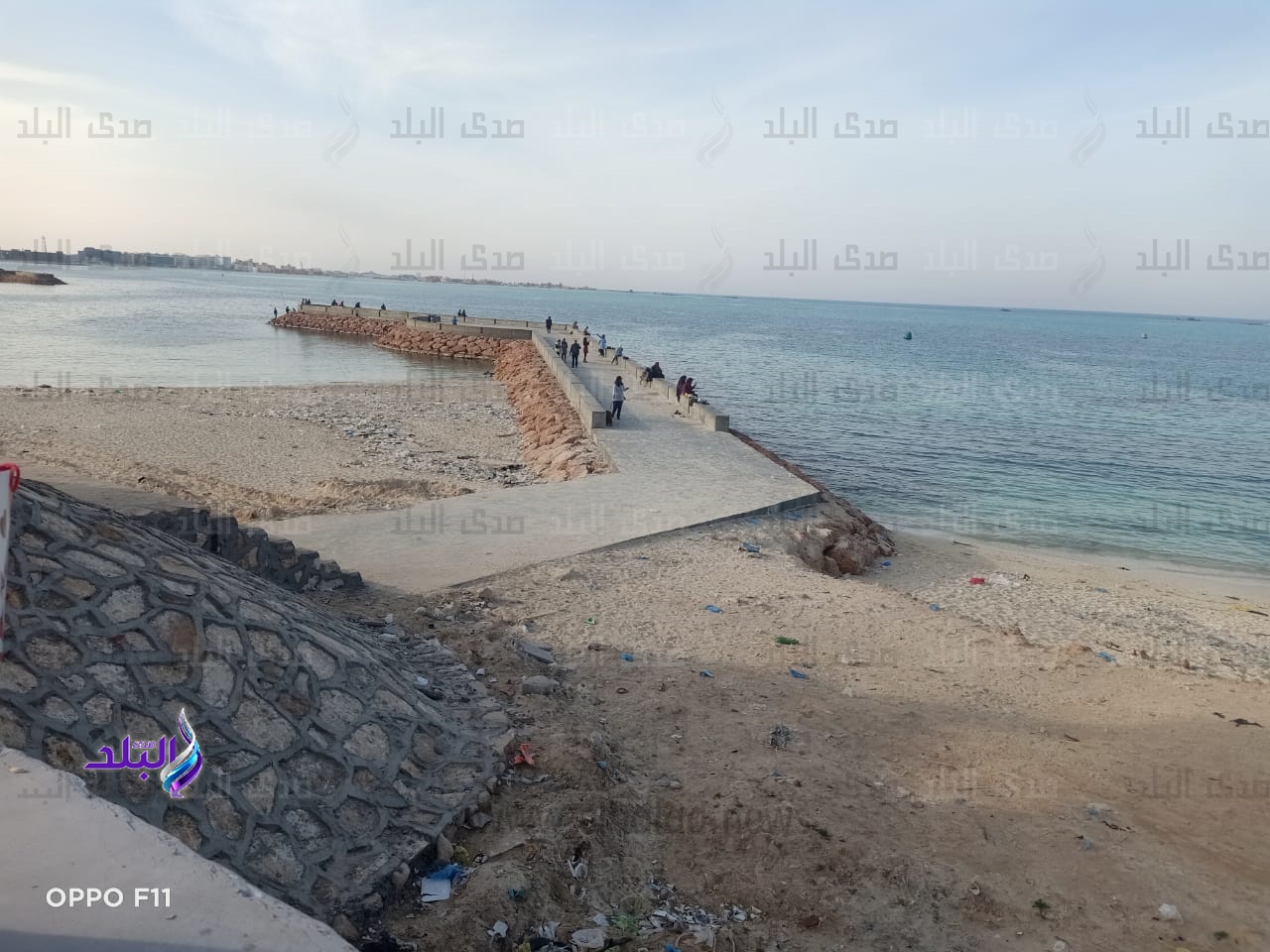 الرؤس البحرية