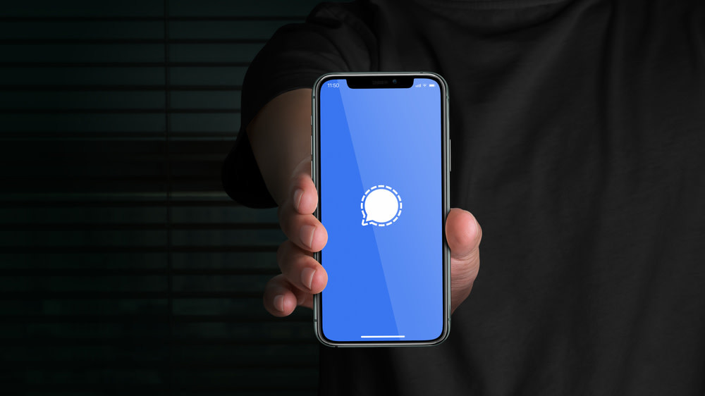 تطبيق التراسل سيجنال Signal