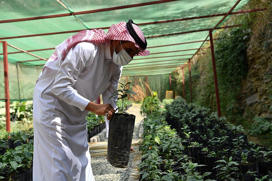  أسواق المال الإماراتية