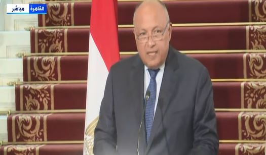 سامح شكرى 