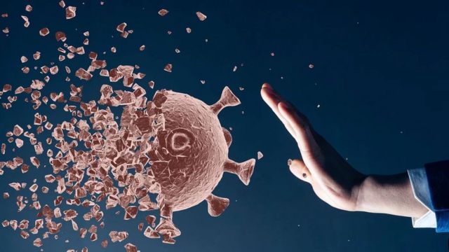 دراسة توضح تأثير كورونا على 6 أعضاء في الجسم