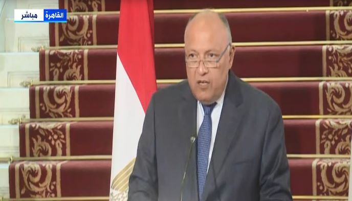 سامح شكرى