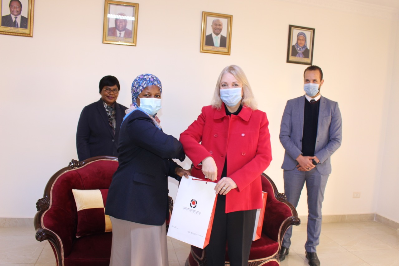 الجامعة المصرية اليابانية