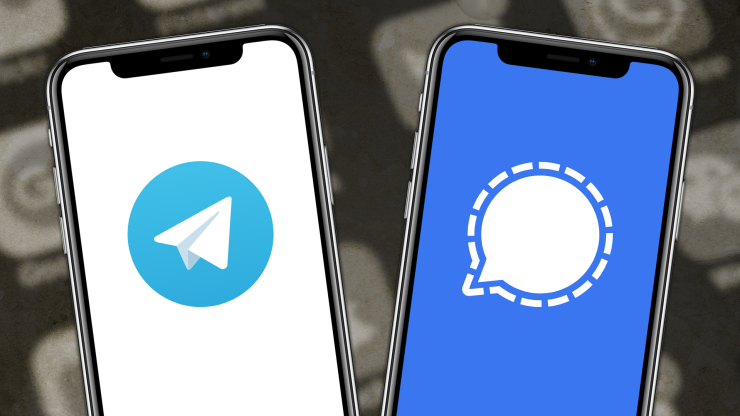 تطبيق سيجنال وتليجرام