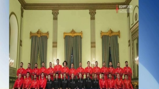 لاعبين منتخب مصر لكرة اليد 