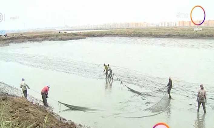 الاستزراع السمكي