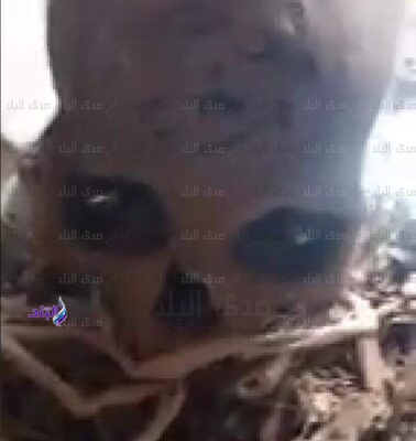 حملة تنظيف المقابر تكشف كارثة بسوهاج