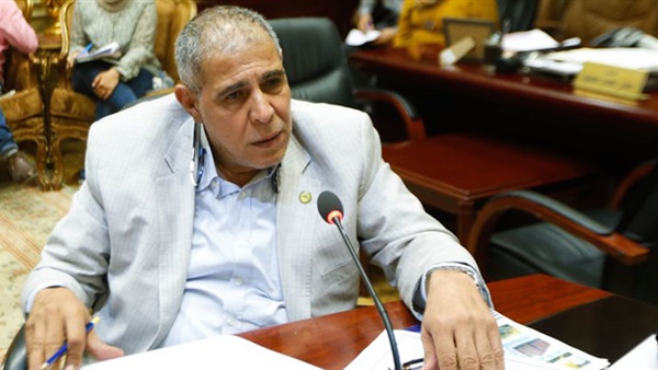 النائب أمين مسعود