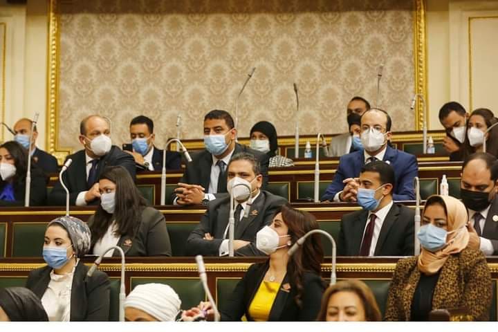 نواب تنسيقية شباب الأحزاب داخل البرلمان