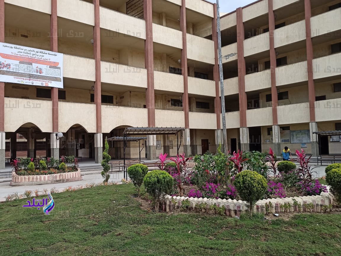 مشروعات مشكاة نور