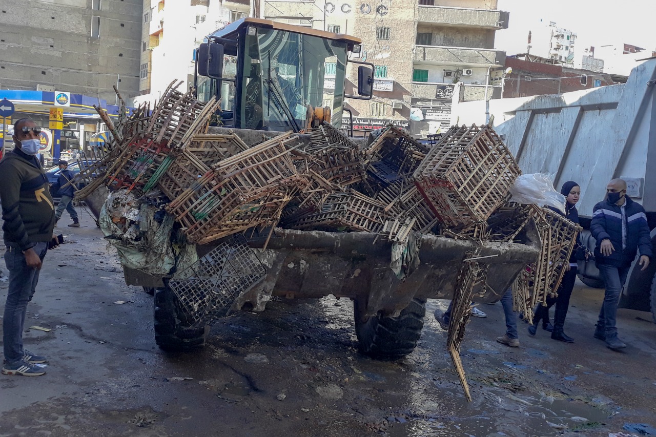 محافظ الإسكندرية: إزالة 15 كشك وتحصيل غرامات فورية 