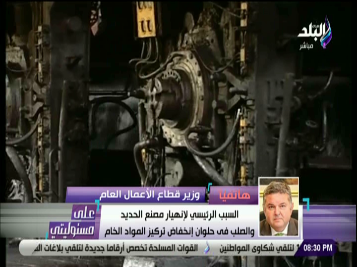 وزير قطاع الاعمال 