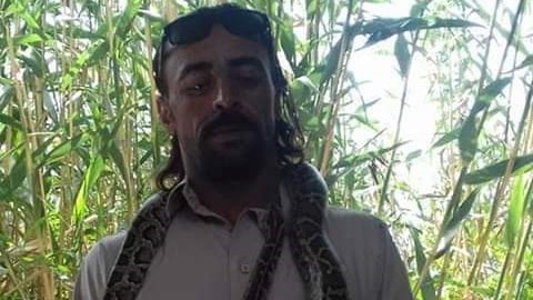 مربي زواحف مفترسة 