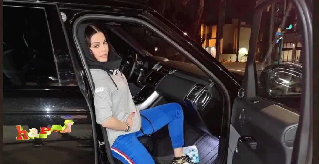 هيفاء وهبي
