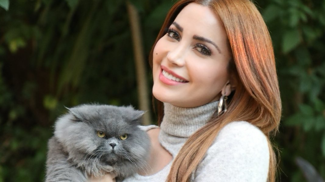 نسرين طافش