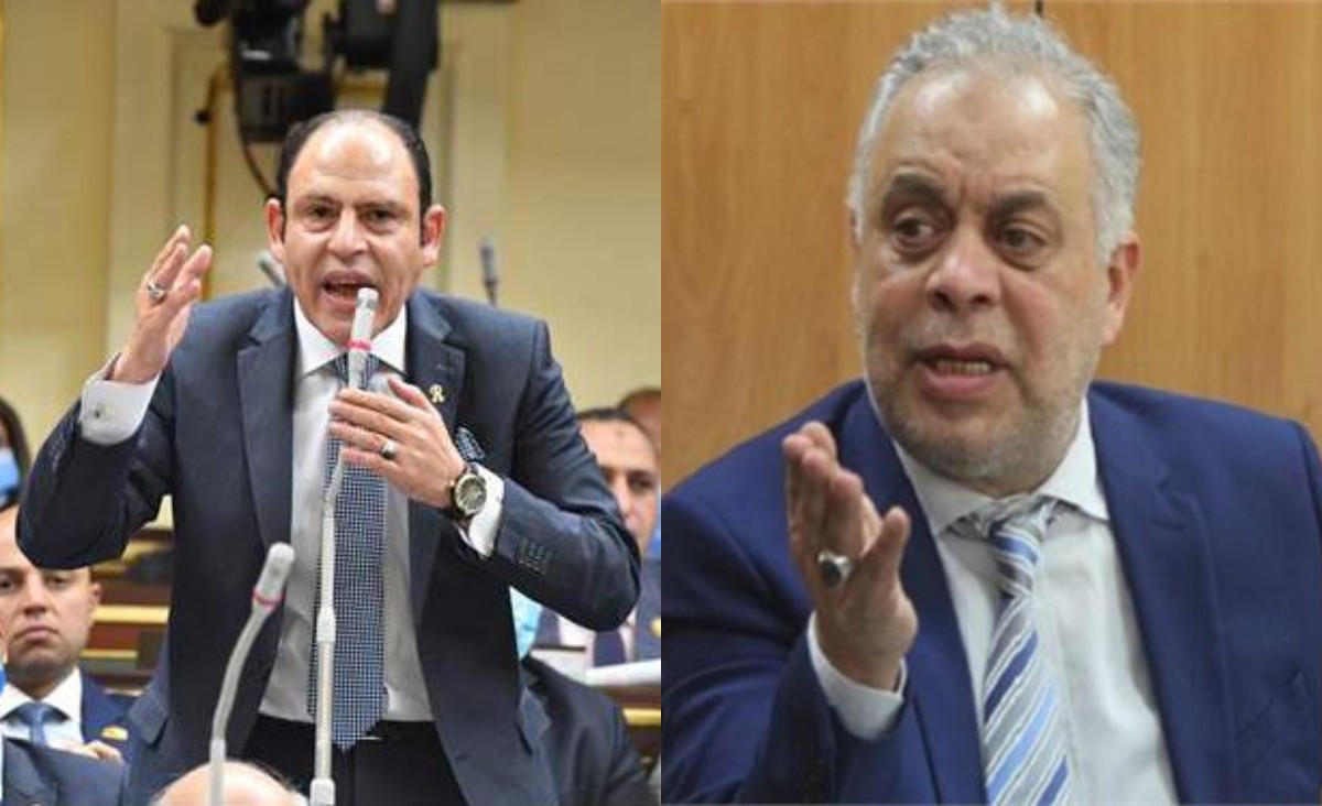 النائب رياض عبدالستار والفنان أشرف زكي
