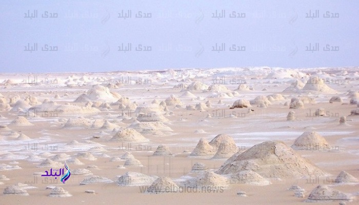  محمية الصحراء البيضاء