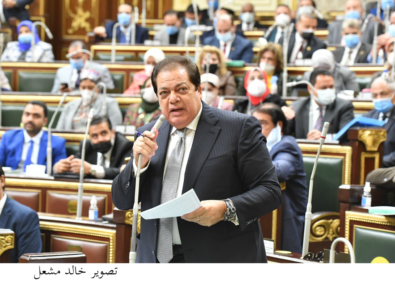 النائب محمد ابو العينين وكيل مجلس النواب