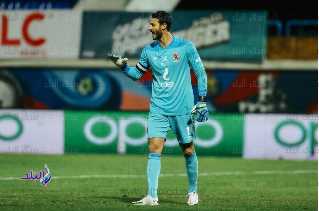 محمد الشناوي