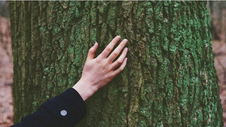   ماذا يعني أن تكون "جائعًا باللمس"؟