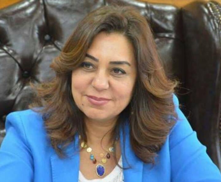 محافظ دمياط