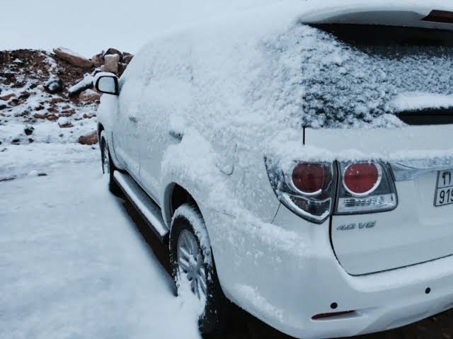 صقيع في السعودية - ارشيفي  صقيع في السعودية - ارشيفي