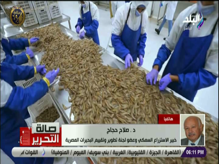 مشروع الفيروز للاستزراع السمكي 