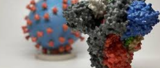 كورونا المتحور 