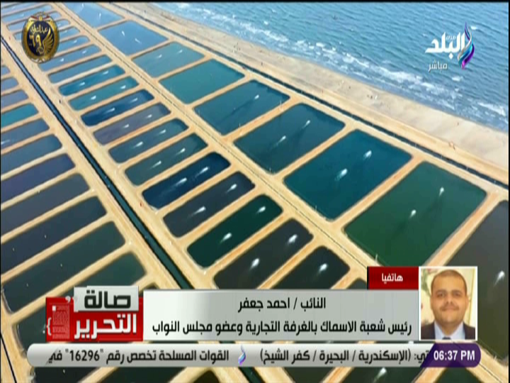 مشروع الفيروز 
