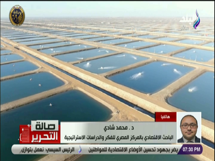 مشروع الفيروز 