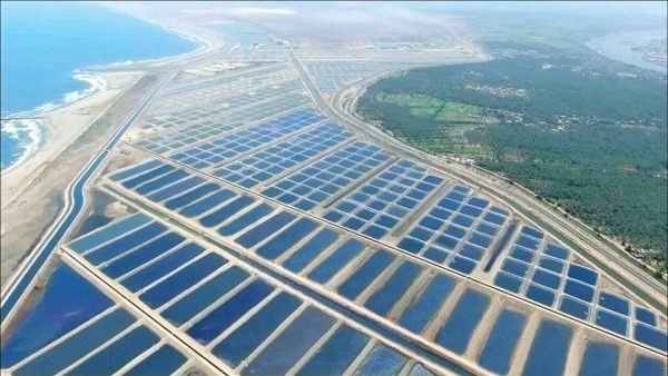 مشروع الفيروز