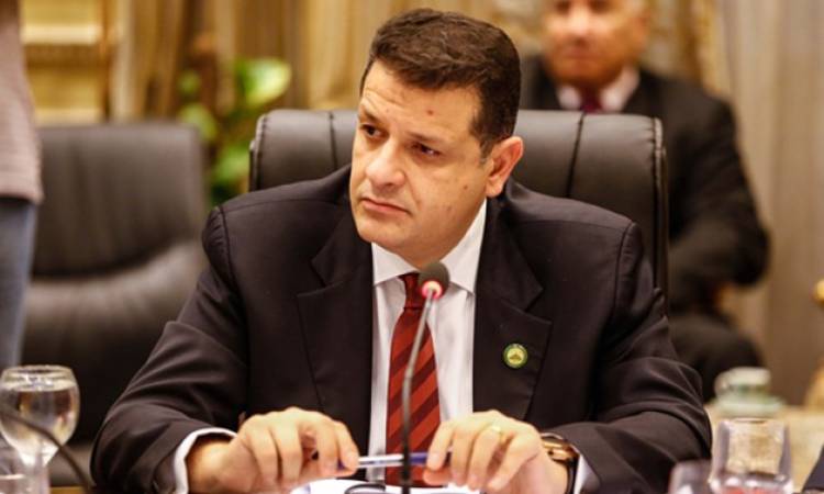 النائب طارق رضوان ، رئيس لجنة حقوق الإنسان بالبرلمان