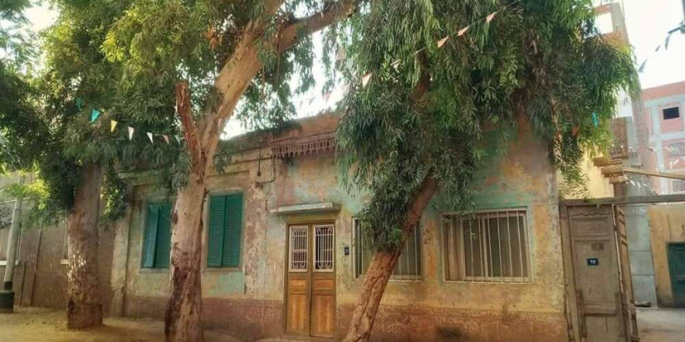 تطوير قرى الريف المصرى 