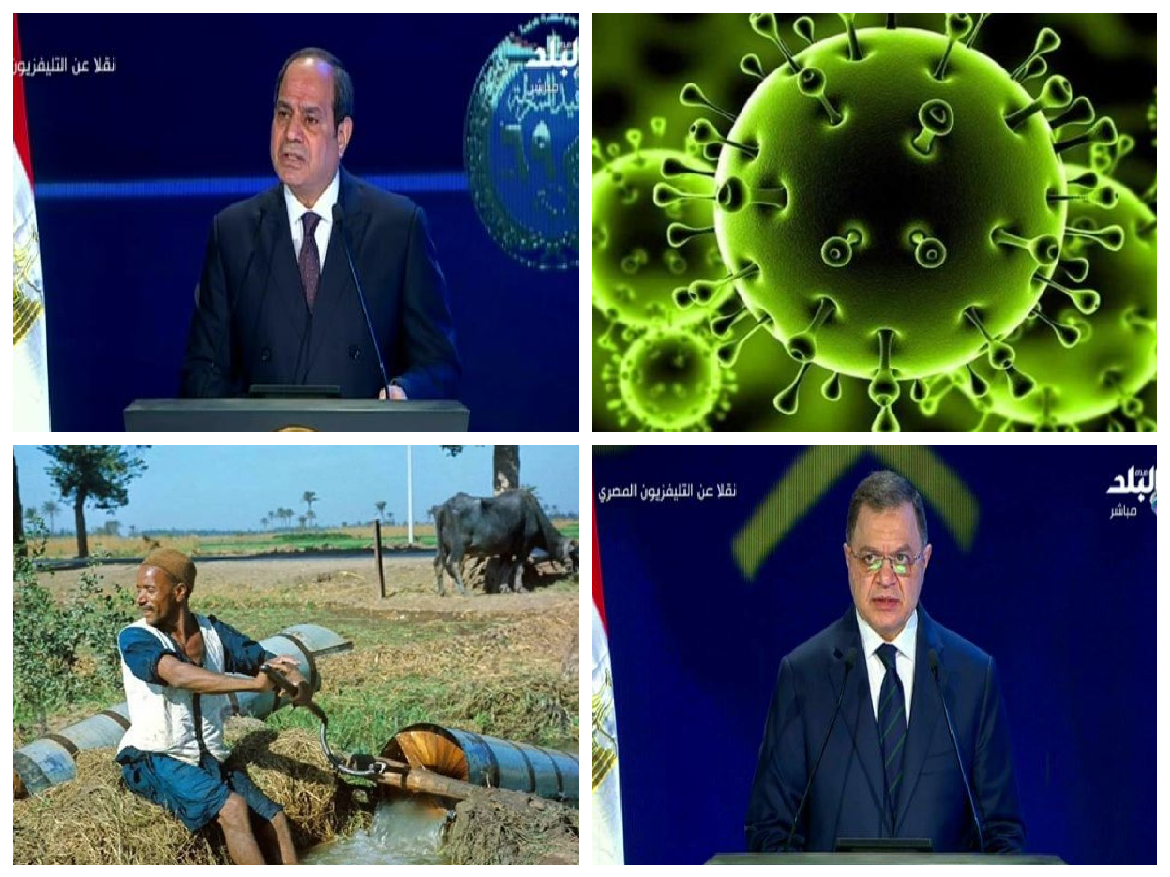 اخبار التوك شو