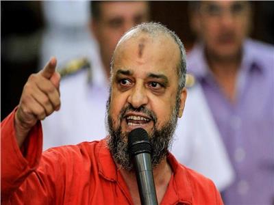 محمد البلتاجي 